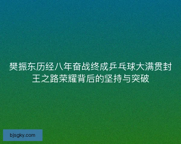樊振东历经八年奋战终成乒乓球大满贯封王之路荣耀背后的坚持与突破